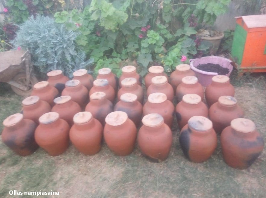 Système intégré d'irrigation par ollas et de fertigation à l'urine